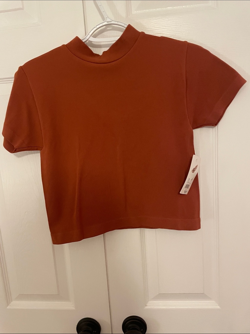 Classic Ribbed Crop Top in Rust